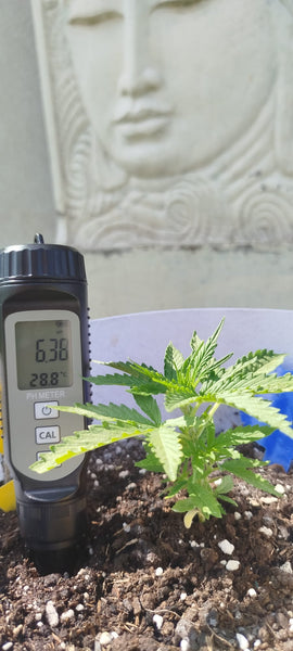 High Sensitivity PH + Temp Meter Pen: Water For Food and Soil Quality Testing