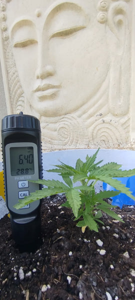 High Sensitivity PH + Temp Meter Pen: Water For Food and Soil Quality Testing