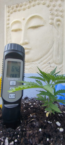 High Sensitivity PH + Temp Meter Pen: Water For Food and Soil Quality Testing
