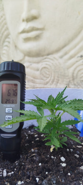 High Sensitivity PH + Temp Meter Pen: Water For Food and Soil Quality Testing